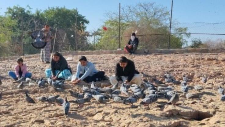 WhatsApp Image 2025-12-28 at 1.34.21 PM (1) (1)-YIbCWSePGf.jpg